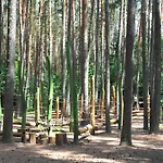 Waldcamping Brombach *