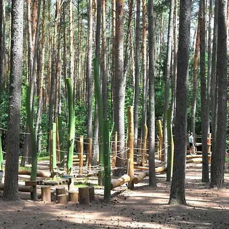 Waldcamping Brombach *