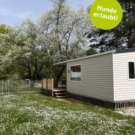 Waldcamping Brombach אתר קמפינג *